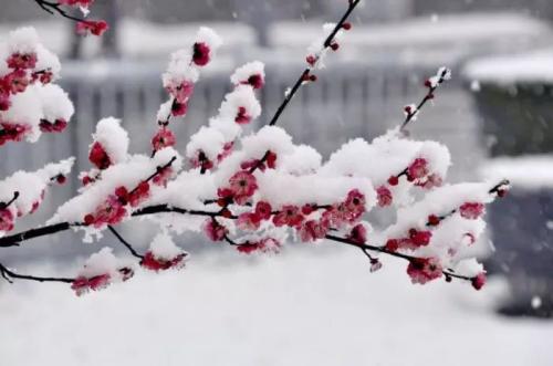 银屑病患者淋雪后果很严重