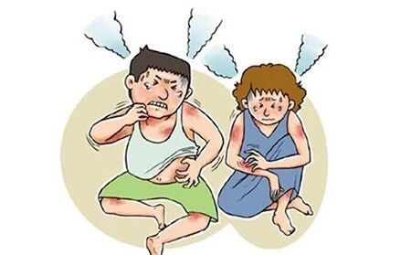 孕妇得了牛皮鲜需注意